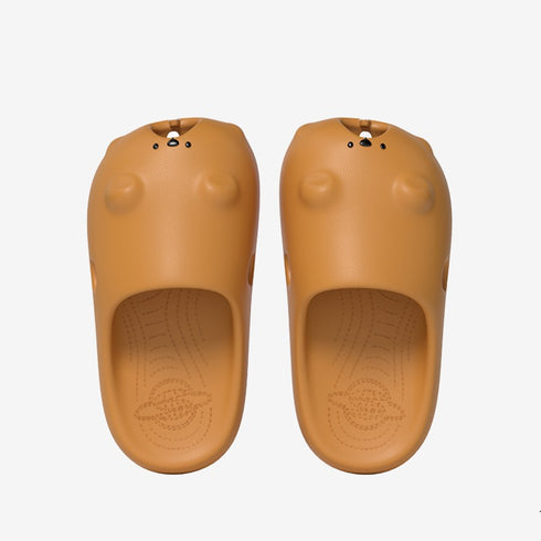 Gopher Slides